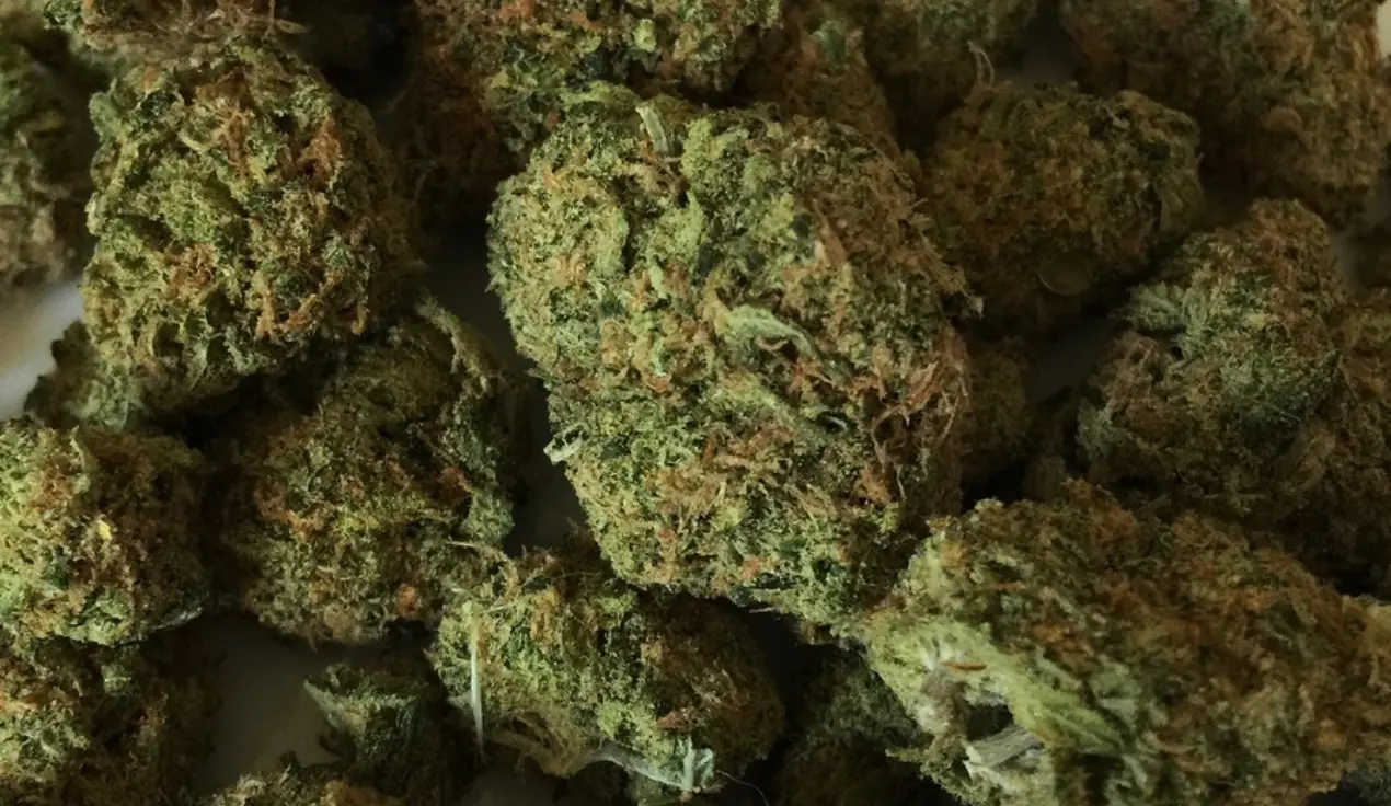 In casa con hashish, marijuana e denaro: un arresto a Cirò Marina\n