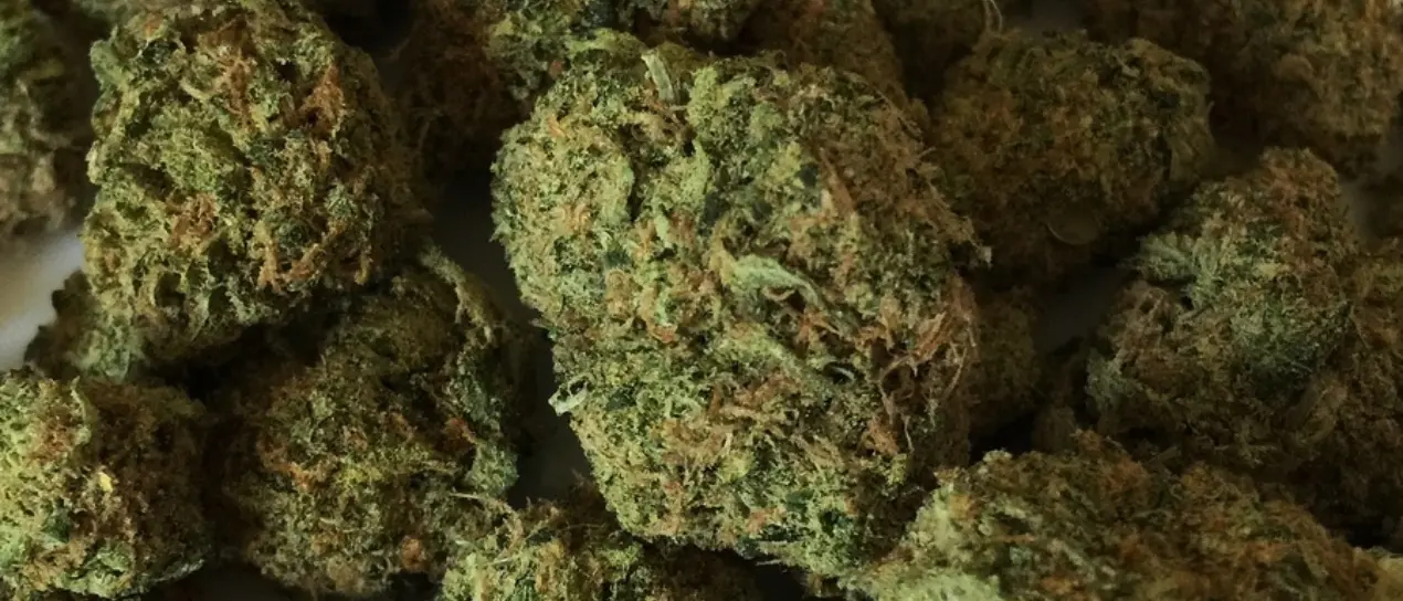 In casa con hashish, marijuana e denaro: un arresto a Cirò Marina\n