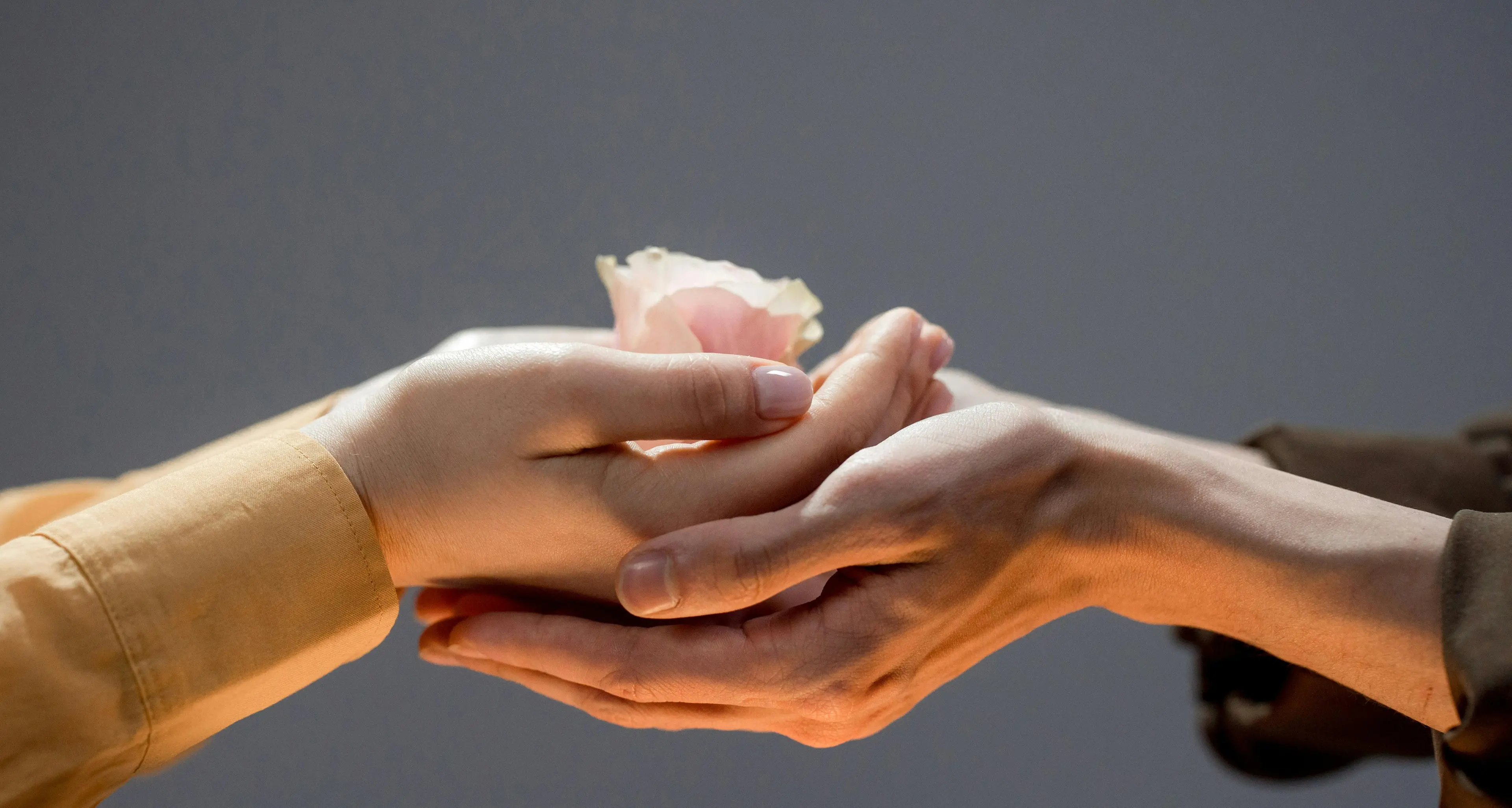 Vivere il quotidiano con gentilezza e amore contro distruzione, disuguaglianze e ingiustizie\n