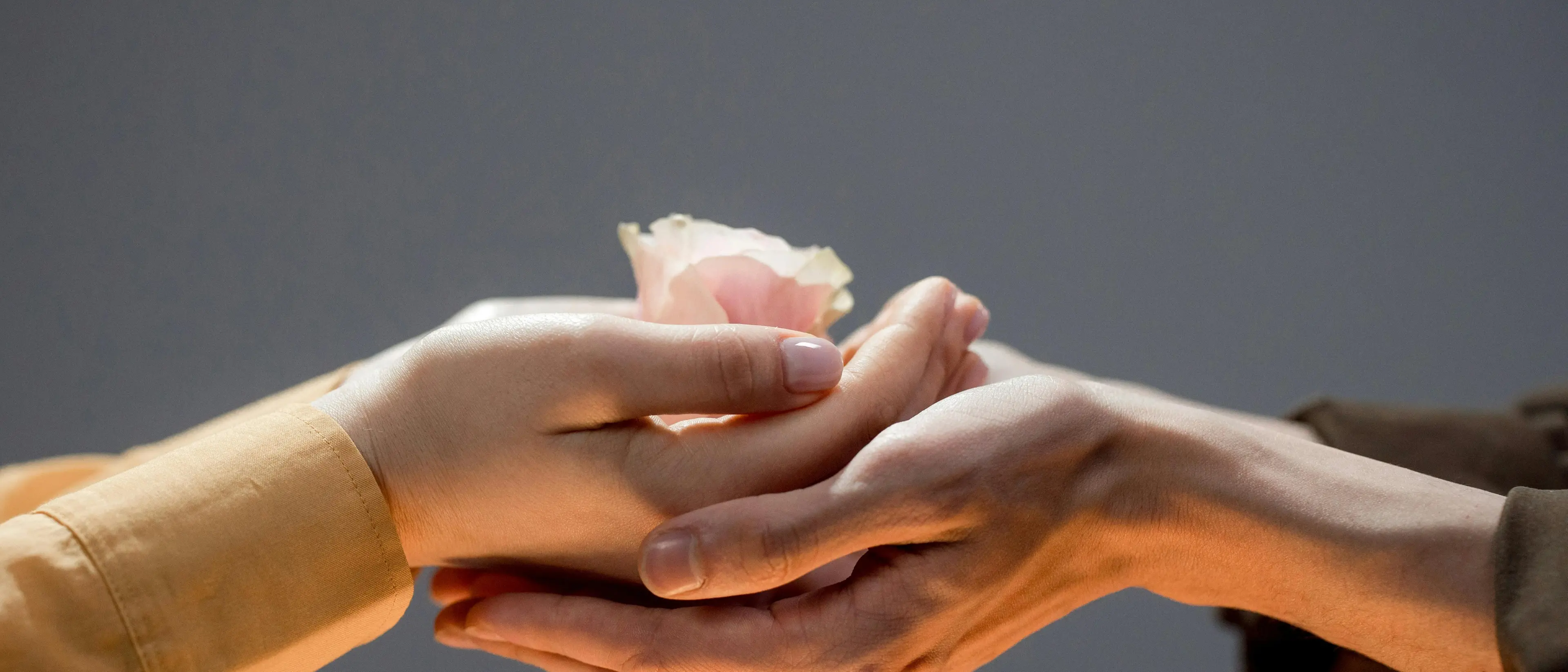 Vivere il quotidiano con gentilezza e amore contro distruzione, disuguaglianze e ingiustizie\n