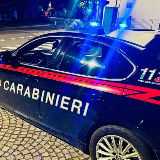 Sondrio, uccide la madre anziana e poi si suicida\n