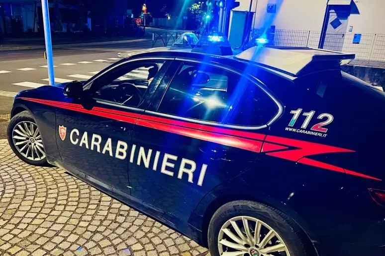Sondrio, uccide la madre anziana e poi si suicida\n