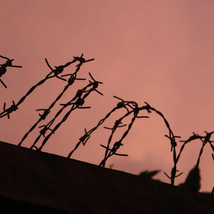 Abbiamo dimenticato Levi, Calvino e Ungaretti. E la guerra è tornata, più vicina che mai\n