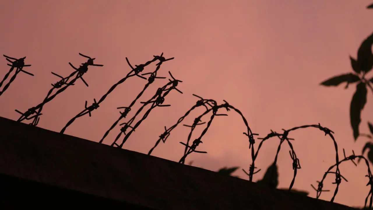 Abbiamo dimenticato Levi, Calvino e Ungaretti. E la guerra è tornata, più vicina che mai\n