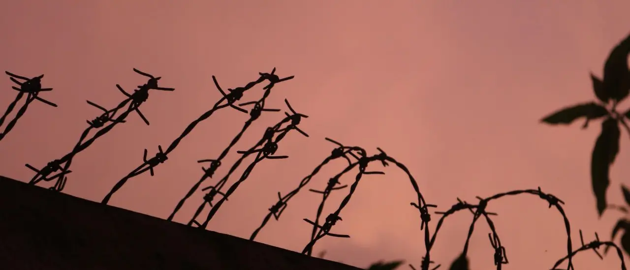 Abbiamo dimenticato Levi, Calvino e Ungaretti. E la guerra è tornata, più vicina che mai\n