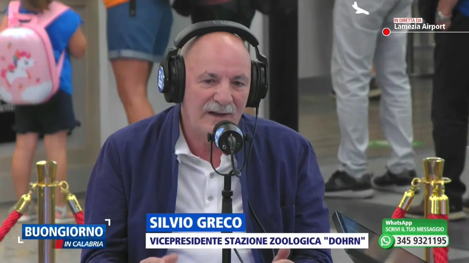 Mare inquinato, il biologo Greco: «Solo per il 30% è colpa dei depuratori, il vero problema siamo noi calabresi e gli scarichi abusivi»
