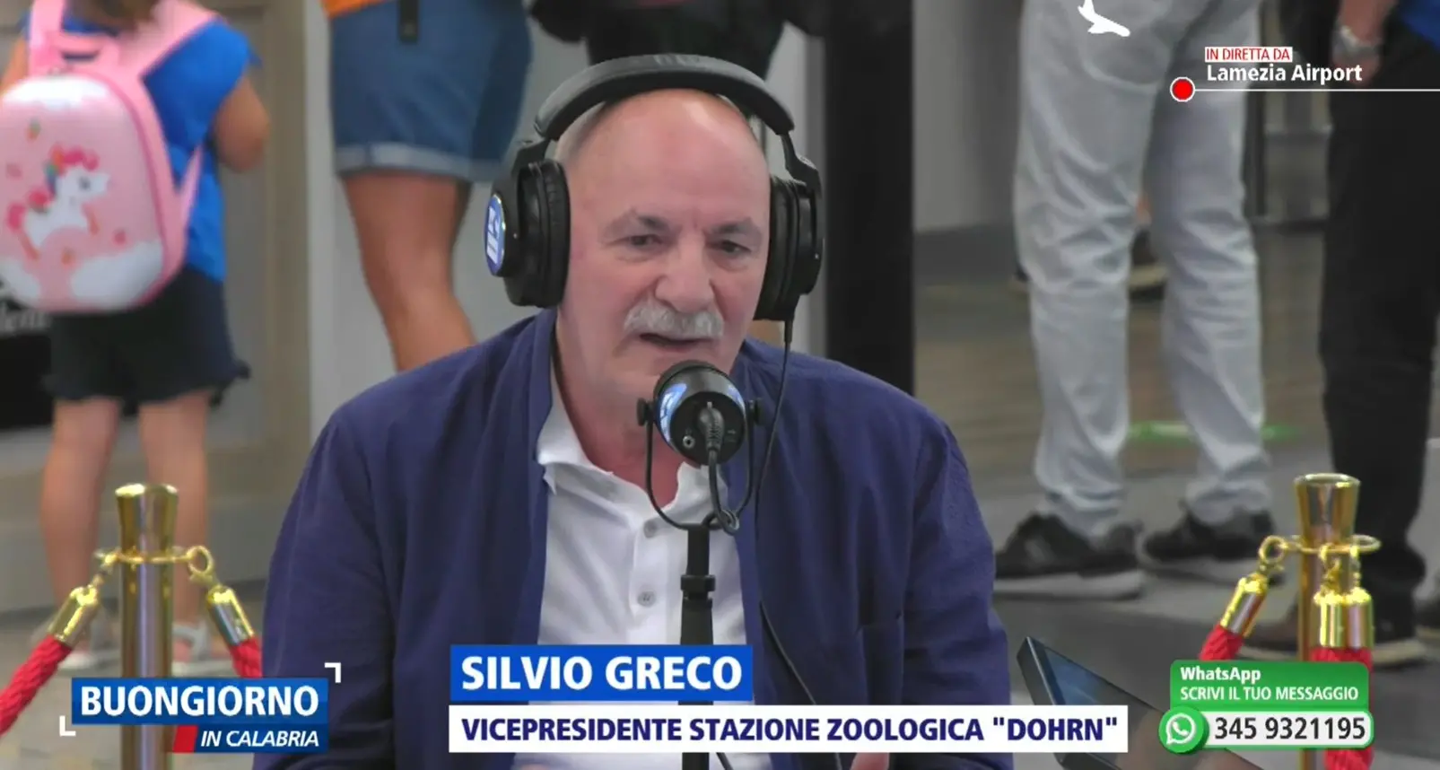 Mare inquinato, il biologo Greco: «Solo per il 30% è colpa dei depuratori, il vero problema siamo noi calabresi e gli scarichi abusivi»