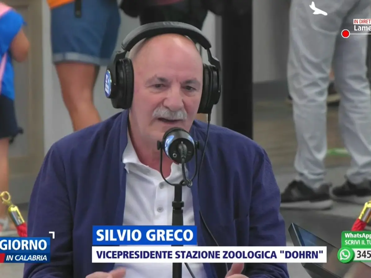 Mare inquinato, il biologo Greco: «Solo per il 30% è colpa dei depuratori, il vero problema siamo noi calabresi e gli scarichi abusivi»