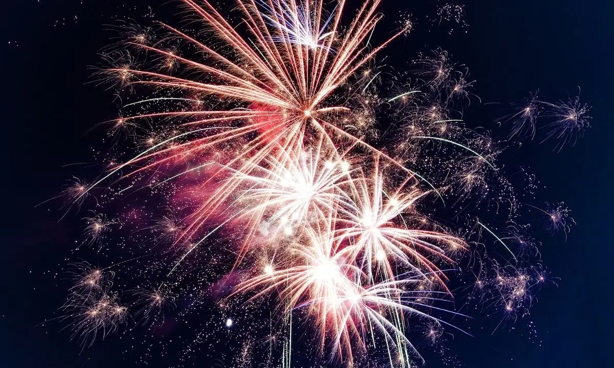 Gioia Tauro, festeggia la scarcerazione del marito facendo esplodere 6 batterie di fuochi d’artificio: denunciata