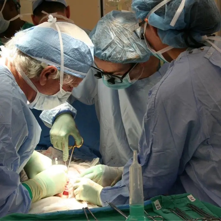 Muore e con un trapianto multiorgano regala futuro a quattro persone: miracolo di generosità a Reggio Calabria\n