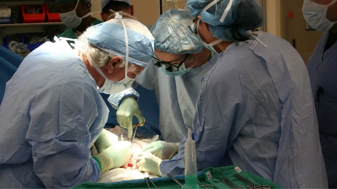 Muore e con un trapianto multiorgano regala futuro a quattro persone: miracolo di generosità a Reggio Calabria\n