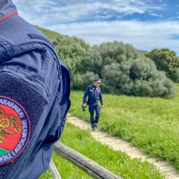 Crotone, area campeggio abusiva alla foce del fiume Neto: scatta il sequestro\n