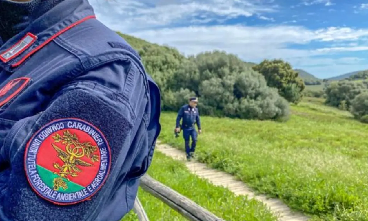 Crotone, area campeggio abusiva alla foce del fiume Neto: scatta il sequestro\n