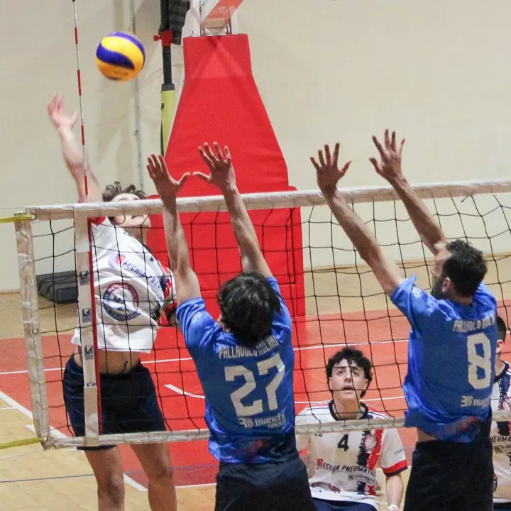 Volley Calabria, in Serie C Rende e Area Brutia Cosenza uniscono le forze: nasce l’Eurosport Milani