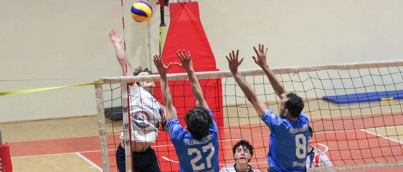 Volley Calabria, in Serie C Rende e Area Brutia Cosenza uniscono le forze: nasce l’Eurosport Milani