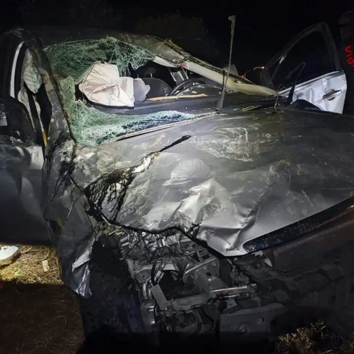 Incidente a San Pietro Apostolo, auto perde il controllo e si ribalta: feriti quattro ragazzi\n