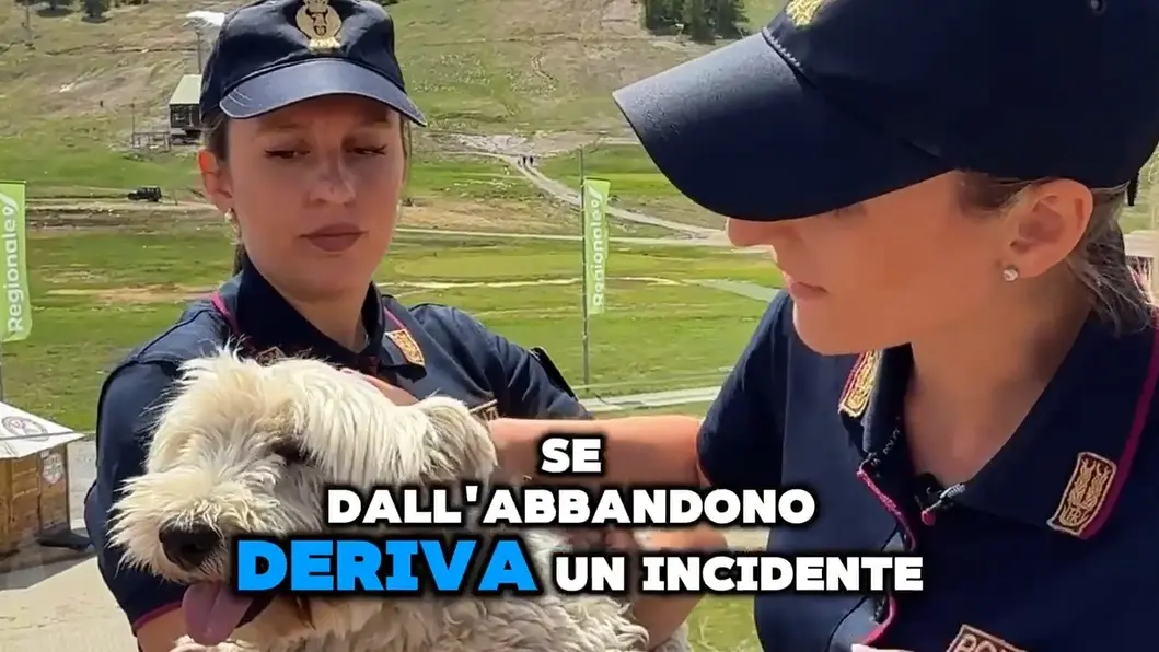 Estate 2025: la campagna della Polizia di Stato contro l’abbandono degli animali