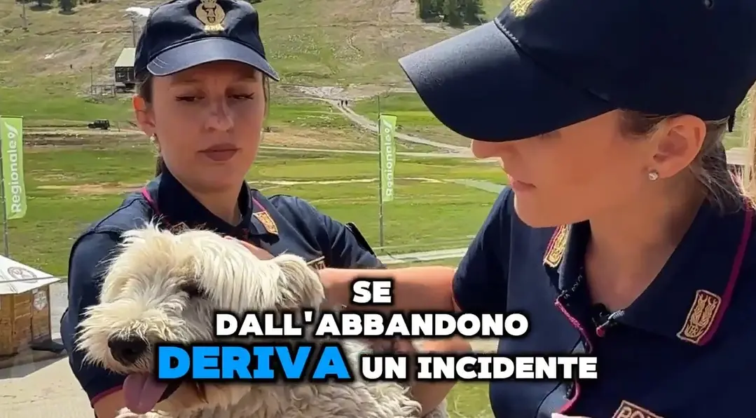 Estate 2025: la campagna della Polizia di Stato contro l’abbandono degli animali