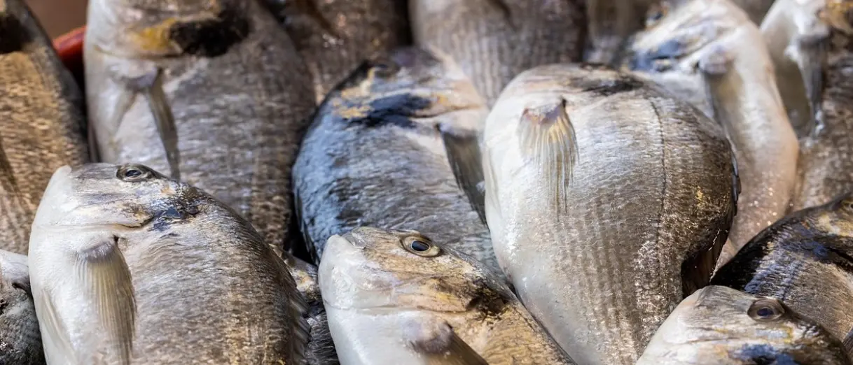 A Gioia Tauro la Sagra del pesce di Calabria: stand gastronomici, musica e spettacoli per onorare i pescatori e il mare\n