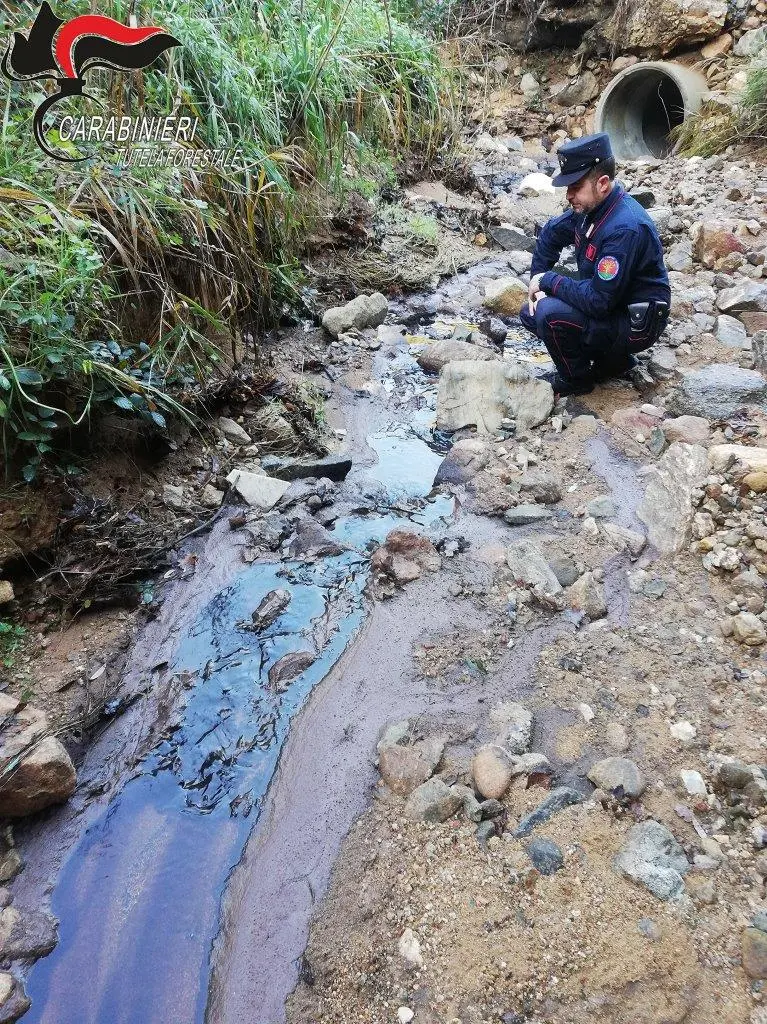 San Demetrio Corone: smaltimento illecito, denunciato proprietario di un frantoio