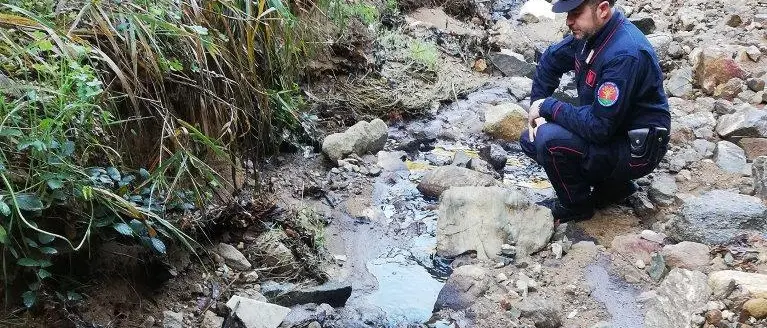 San Demetrio Corone: smaltimento illecito, denunciato proprietario di un frantoio