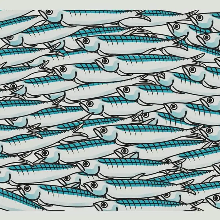Le Sardine (nate a Bologna) sono diverse dai partiti
