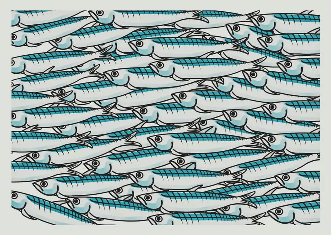 Le Sardine (nate a Bologna) sono diverse dai partiti