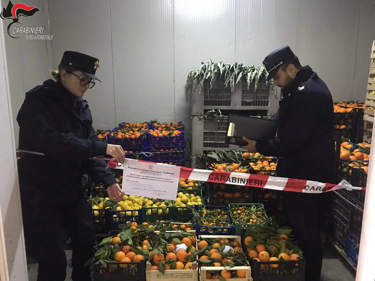Montalto, sequestrate quattro tonnellate di agrumi e ortaggi