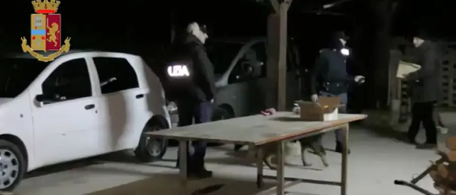 Il linguaggio criptico dei presunti narcotrafficanti della Valle dell'Esaro