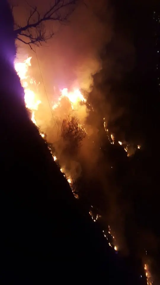 Due vasti incendi nel Cosentino: ecco le foto di Dipignano e Mongrassano