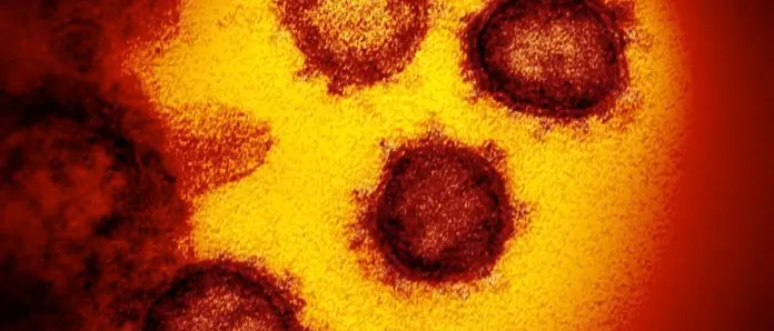 Sette nuovi casi in provincia di Cosenza TABELLA COVID