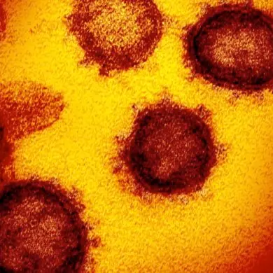 Jole Santelli: «Primo caso sospetto di coronavirus in Calabria»