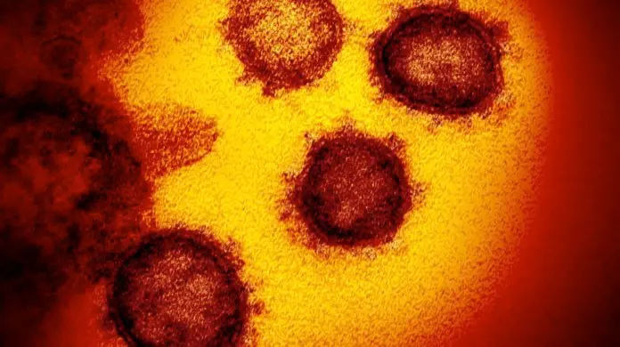 Coronavirus: tre nuovi casi a Corigliano Rossano, uno ad Altomonte
