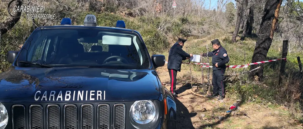 Scala Coeli, falso e tentata truffa su un finanziamento regionale