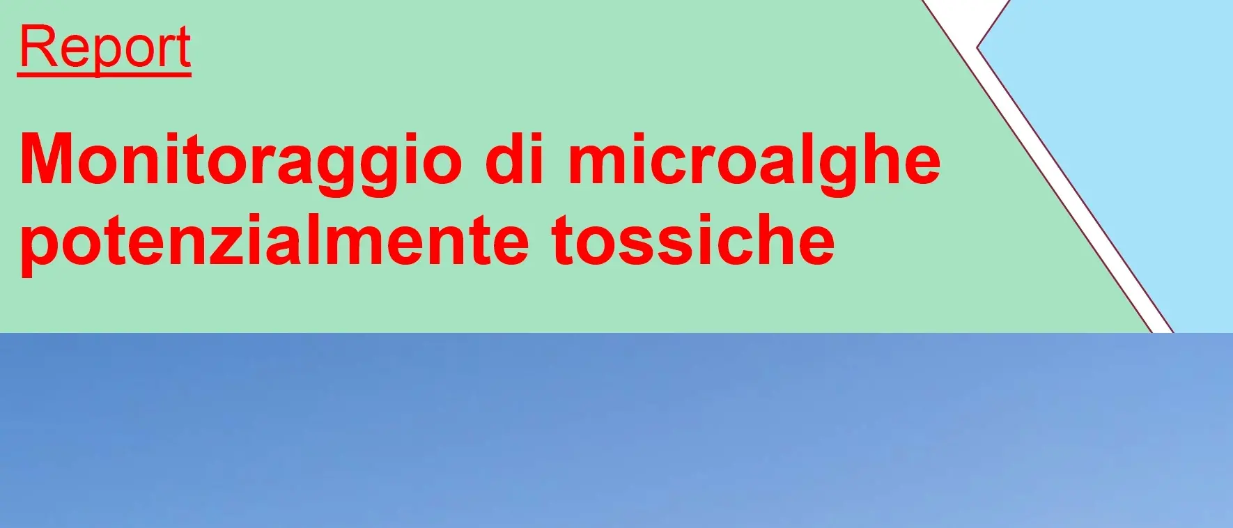 Microalghe potenzialmente tossiche: online il rapporto 2019 per la Calabria