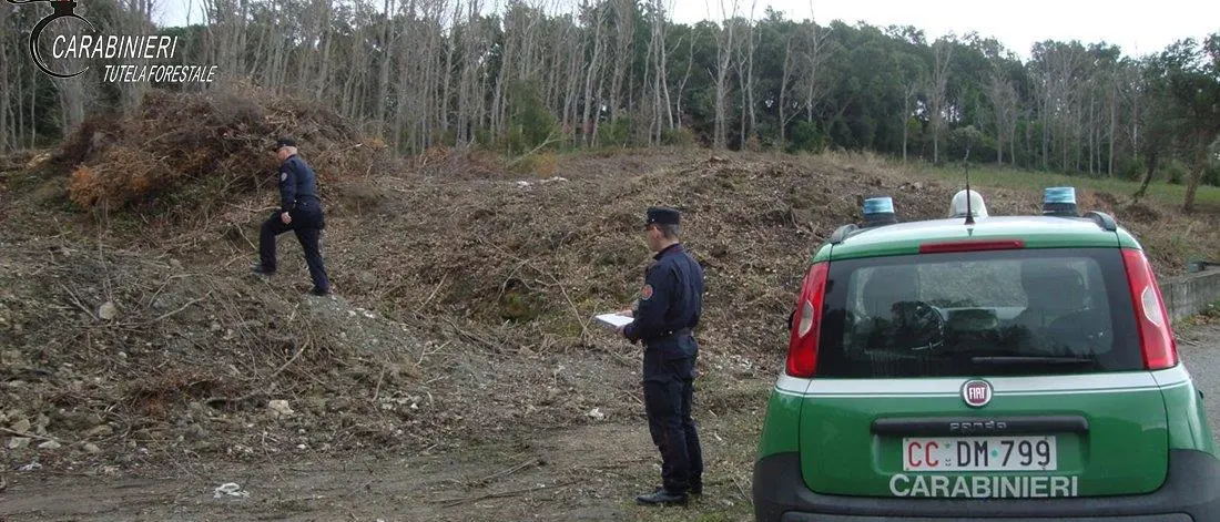 Estirpa macchia mediterranea: denunce e sequestro a S.Domenica Talao