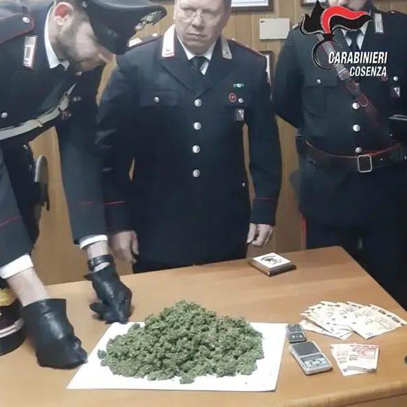 San Giovanni in Fiore, sorpreso con 240 grammi di droga: denunciato