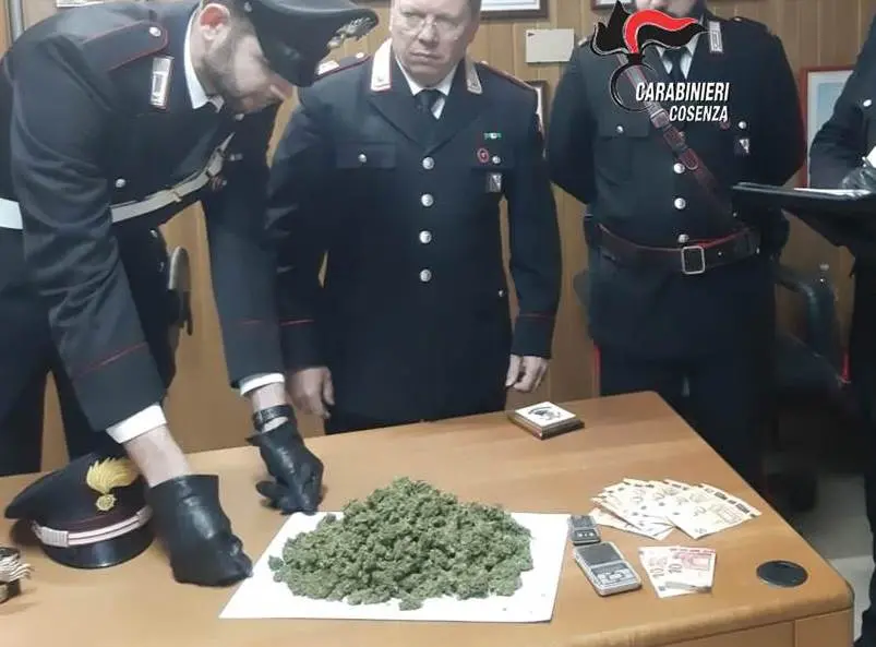 San Giovanni in Fiore, sorpreso con 240 grammi di droga: denunciato