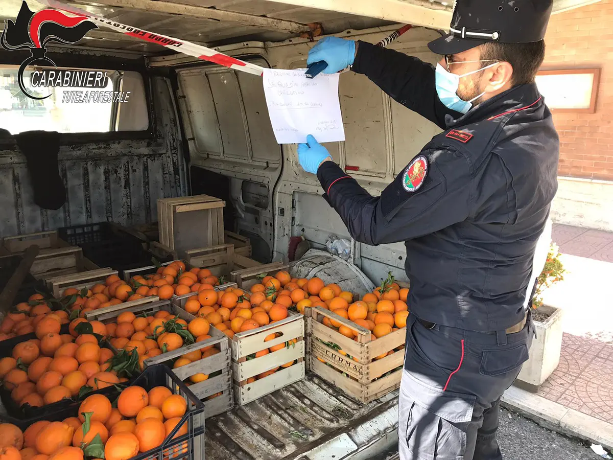 Coronavirus, a Montalto denunciati due venditori ambulanti