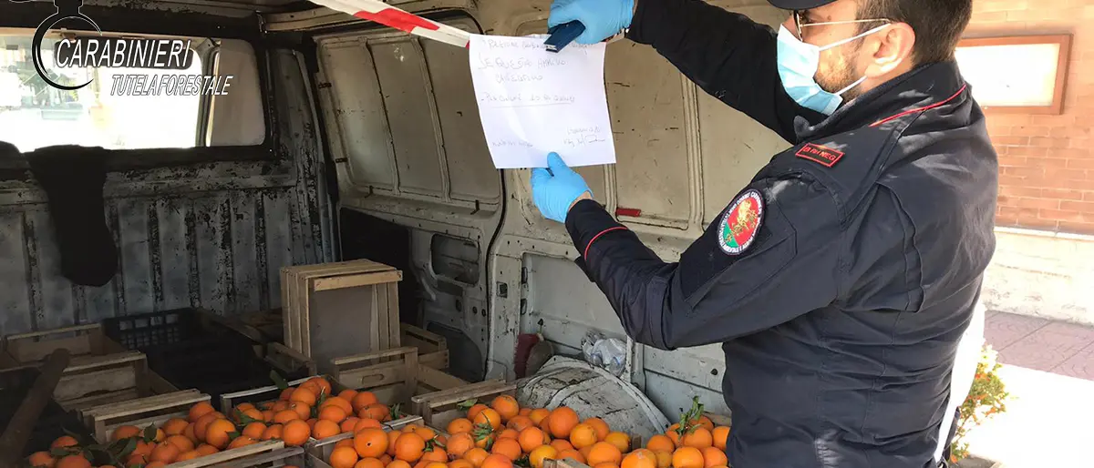 Coronavirus, a Montalto denunciati due venditori ambulanti