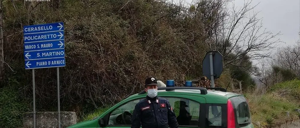 Coronavirus, Acri e Villapiana: violano il decreto, denunciati dai Carabinieri Forestale