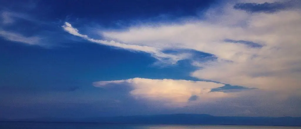 Trebisacce, il comune aderisce a \"Growing Consciosness\"