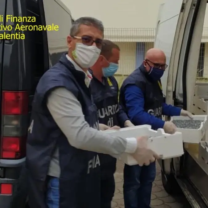 Pescavano \"bianchetti\" di sardina, multati per un totale di 135mila euro