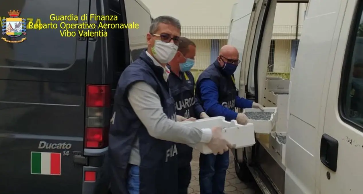 Pescavano \"bianchetti\" di sardina, multati per un totale di 135mila euro