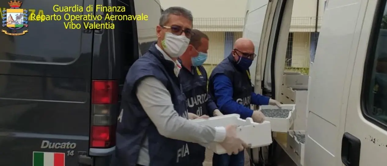 Pescavano \"bianchetti\" di sardina, multati per un totale di 135mila euro