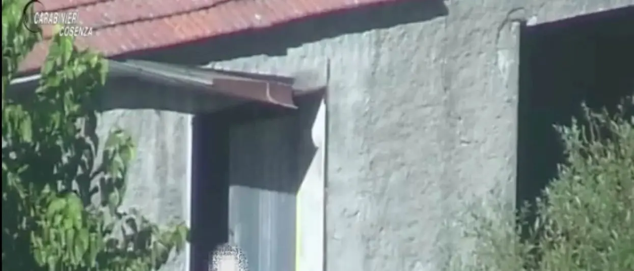 OVERTURE | Narcotraffico: il Riesame conferma il carcere per quattro indagati