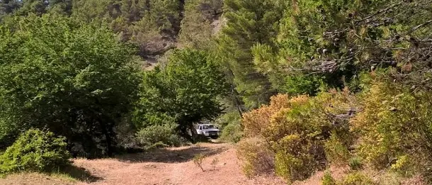 Amendolara, Bosco Straface scrigno di biodiversità