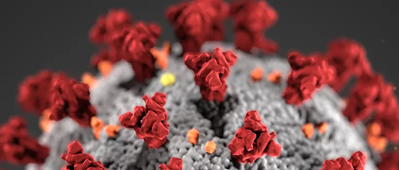 Covid Cosenza: 102 nuovi contagi. Si contano anche 4 ricoveri e 6 guariti