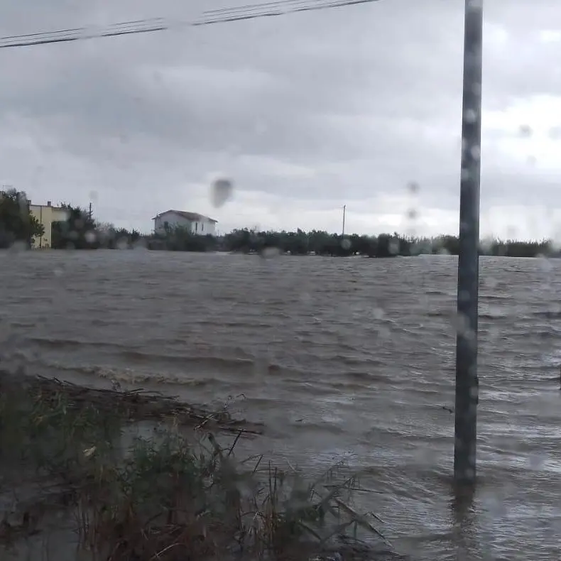 Nubifragio nel Crotonese, Coldiretti chiede il conto dei danni