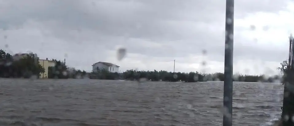 Nubifragio nel Crotonese, Coldiretti chiede il conto dei danni